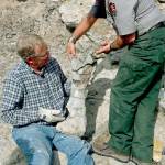 Brigham Young University paleontologist Brooks Britt (left) and Dinosaur National Monument paleontologist Daniel Chure hold up a sauropod humerus they excavated from a hillside on the Fossil Discovery Trail at Dinosaur National Monument in Utah in 2014. The fossil was vandalized, making it necessary to remove it for safekeeping. In a paper published Tuesday, April 11, 2017, BYU officials say they&rsquo;ve identified the fossil as that of a new dinosaur, named Moabosaurus, since it was found near Moab, Utah. (Geoff Liesik / Deseret News via AP, file)