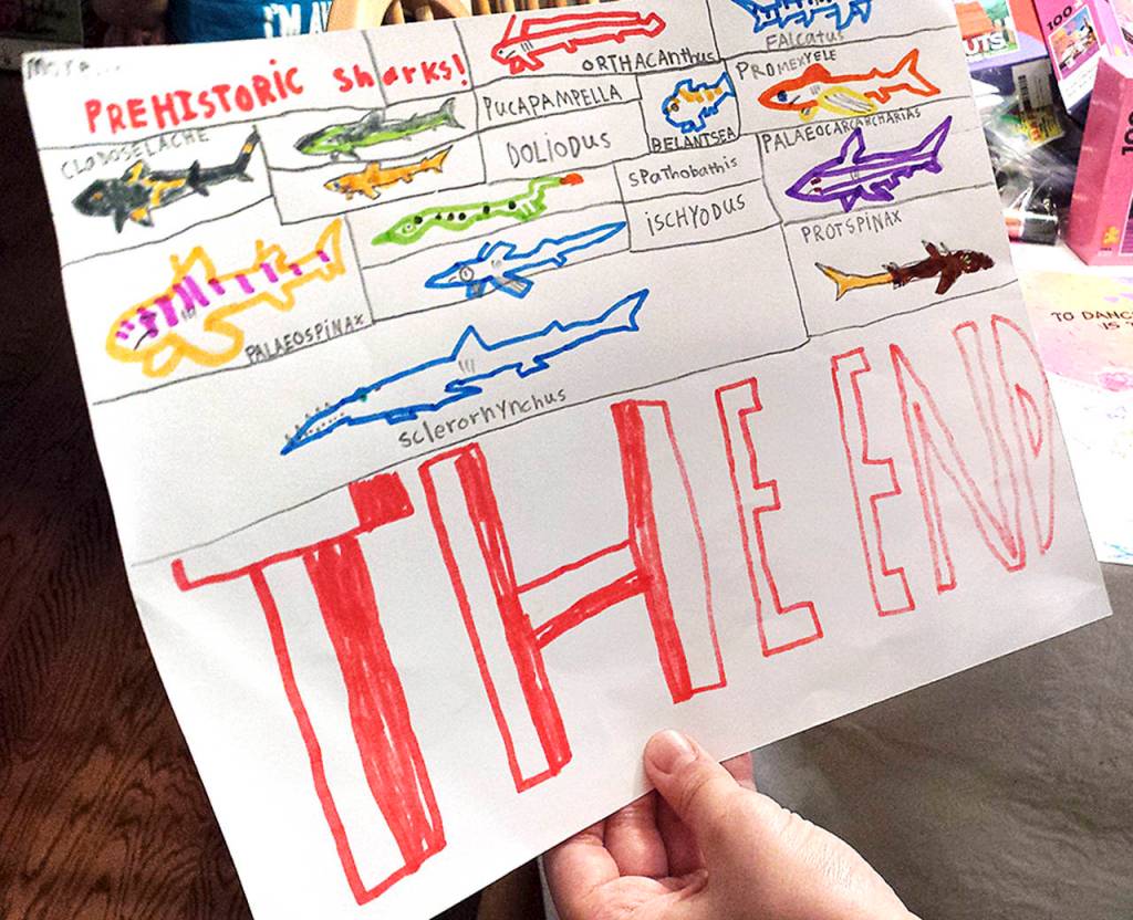 J.T. Fisher has made learning about sharks a personal passion and has dozens of books on the topic. Here he has drawn some types of prehistoric sharks. (Sharon Salyer / The Herald)