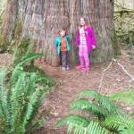 Arlington hiking podcaster Rudy Giecek&rsquo;s daughters Reggie, 4, and Raichel, 8, at the start of Baker River Trail. He has done about 50 podcast episodes since starting the Cascade Hiker Podcast about a year ago. (Photo by Rudy Giecek)