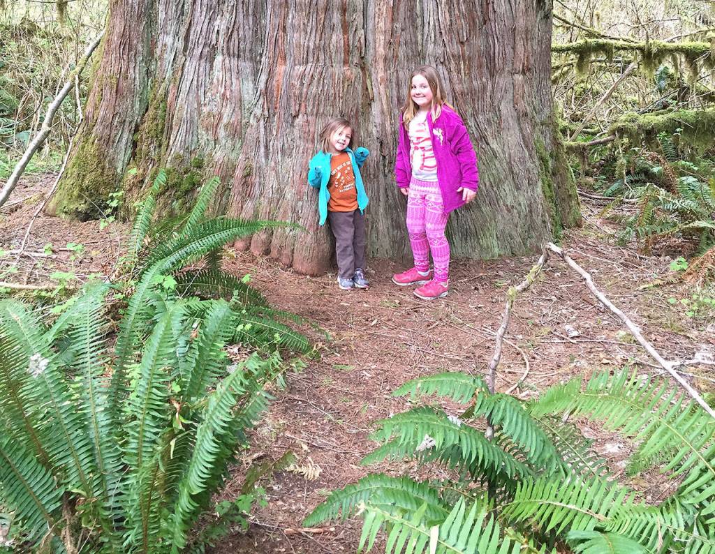 Arlington hiking podcaster Rudy Giecek&rsquo;s daughters Reggie, 4, and Raichel, 8, at the start of Baker River Trail. He has done about 50 podcast episodes since starting the Cascade Hiker Podcast about a year ago. (Photo by Rudy Giecek)