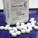 This 2013 photo shows OxyContin pills arranged for a photo at a pharmacy in Montpelier, Vermont. (AP Photo/Toby Talbot, File)