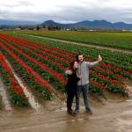 Hailey Schur, of Seattle, and Tyler Horton, of Bend, Oregon, take a photo in front of Roozengaarde&rsquo;s tulip fields as part of the Skagit Valley Tulip Festival near La Conner last year. &ldquo;Last time I was here I was about as tall as the tulips,&rdquo; Schur said. (Ian Terry / Herald file)