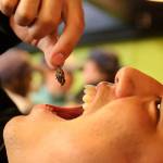 Michael Shan pops a toasted grasshoppers before the start of the Mariners&rsquo; game Wednesday morning on April 19, 2017. The two concession stands sold out before the start of the game. (Kevin Clark / The Herald)