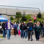 A crowd sets out to walk the new Qwuloolt Waterfront Trail in Marysville on Saturday, April 22. (Ian Terry / The Herald)