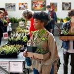 A good number of plant lovers turned out at Everett Community College&rsquo;s annual plant swap, an Earth Week event at Whitehorse Hall, on Tuesday. (Dan Bates / The Herald)