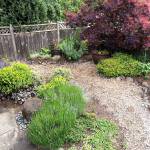 A thick layer of wood chips serves as a informal path through a yard. (Pam Roy photo)