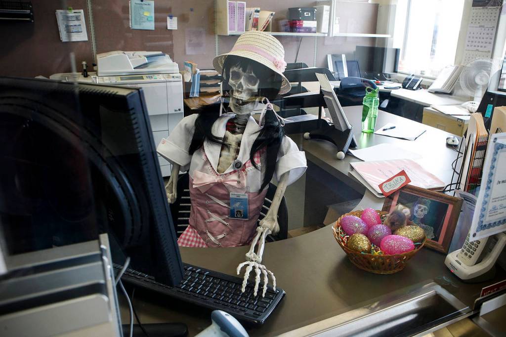 Trudy Rodgers is seen at her desk at the Snohomish County District Court office on Friday, March 24. (Ian Terry / The Herald)