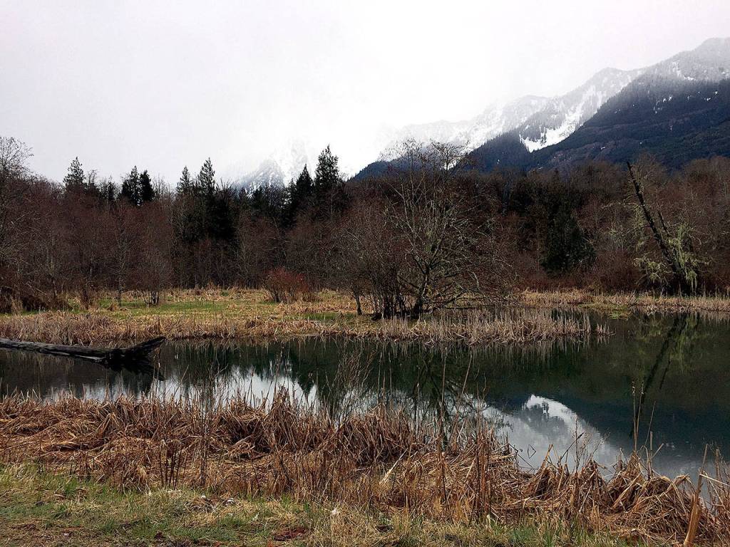 Whitehorse Mountain is shrouded by clouds on a recent March morning. The mountain is visible from many points on the Whitehorse Trail. (Aaron Swaney photo)