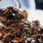 One 4 oz. cup holds 20-25 grasshoppers and sells for $4 at the Poquitos stands at Safeco Field. (Kevin Clark / The Herald)