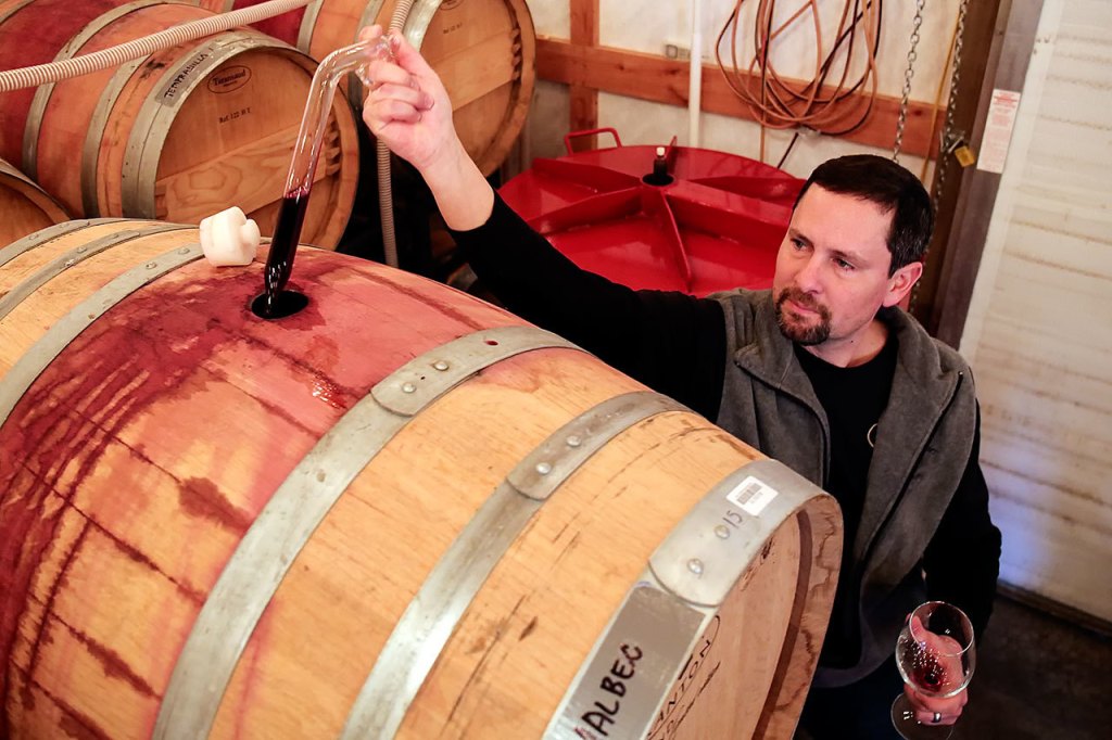 Ryan Kramer uses a wine thief for a sample at Dusky Cellars on Camano Island Sunday February 4, 2017. (Kevin Clark / The Herald)