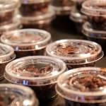 The two concession stands sold out of grasshoppers Wednesday morning before the April 19 game started. (Kevin Clark / The Herald)