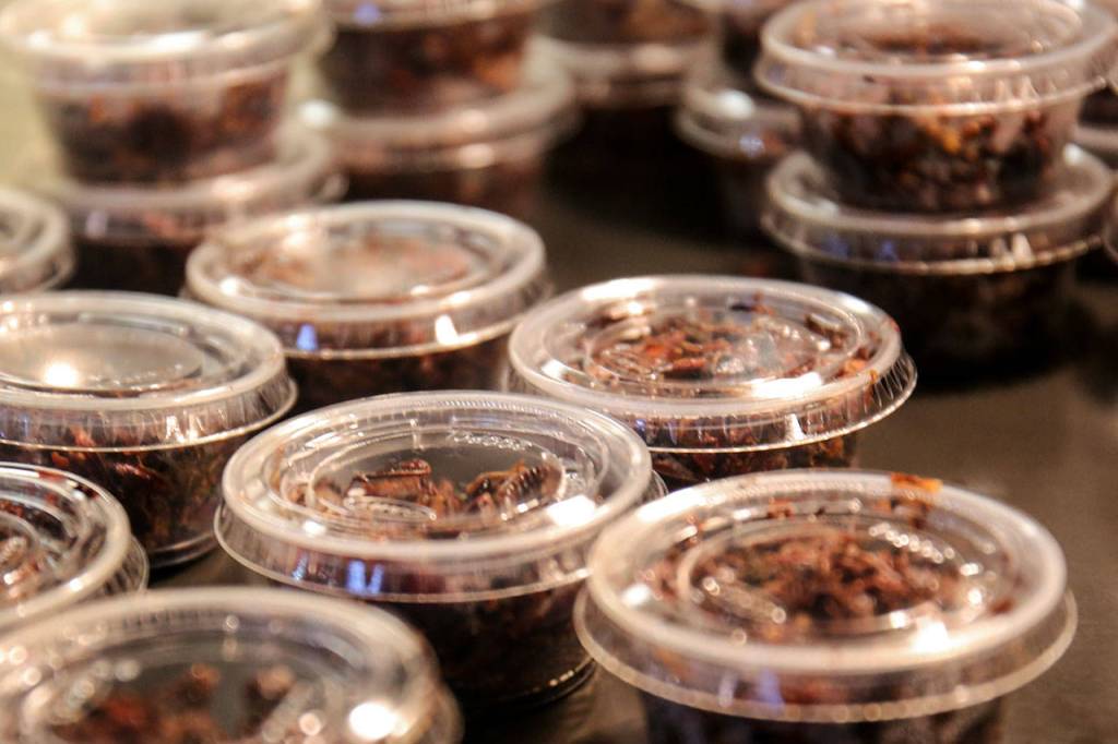The two concession stands sold out of grasshoppers Wednesday morning before the April 19 game started. (Kevin Clark / The Herald)