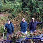 Kiwanis Club of Lynnwood members (from left) Bill Temple, David Little and Ron Swengel pause in their &ldquo;workout&rdquo; of pulling English ivy on the Mesika Trail in Lynnwood. (Contributed photo)