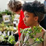 Herald photos of the week