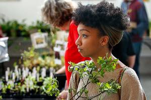 Herald photos of the week