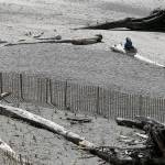 Habitat restoration at Howarth Park ready to be enjoyed by public