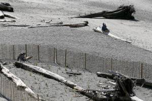 Habitat restoration at Howarth Park ready to be enjoyed by public