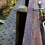 Whitehorse Trail showing signs of rebirth after Oso mudslide