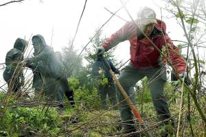 Naval Station Everett volunteers celebrate Earth Day