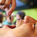 Seattle Mariners fans go gaga over grasshoppers