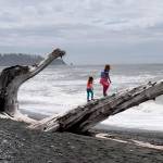 Arlington podcaster Rudy Giecek&rsquo;s daughters Reggie, 4, and Raichel, 8, on the Pacific Coast hiking Rialto Beach to Hole-in-the-Wall. They go on weekly hikes with him. He has done about 50 podcast episodes since starting Cascade Hiker Podcast a year ago. (Photo by Rudy Giecek)