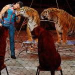 Big cat trainer Alexander Lacey hugs one of the tigers during the final show of the Ringling Bros. and Barnum & Bailey Circus, May 21 in Uniondale, N.Y. (Associated Press/Julie Jacobson)