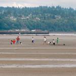 A very low tide greets Jetty Island Days-goers. This year, Jetty Island Days run from July 5 to Sept. 4. (Herald file photo)