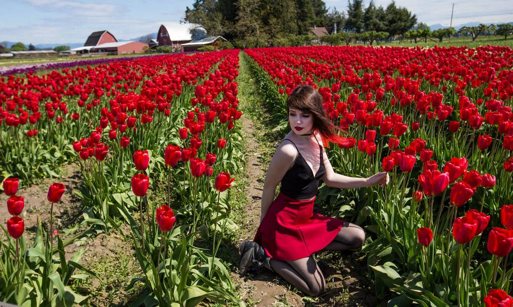 Heidi Klein poses for photos shot by her friend Meaghan Wright at Tulip Town on Thursday. The two, who are from Whidbey Island, are working on a book project. (Andy Bronson / The Herald)