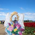 Kim Wholen, seen through a wooden cutout angel, and Gary Beebe film a yoga video among the tulips fields. (Andy Bronson / The Herald)                                Kim Wholen, seen through a wooden cutout angel, and Gary Beebe film a yoga video among the tulips fields at Tulip Town on Thursday, May 4, 2017 in Mount Vernon, Wa. The Skagit Valley&rsquo;s tulip festival ends Sunday. (Andy Bronson / The Herald)