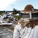 A truck from Belleville Honey & Beekeeping Supply spilled over on I-5 northbound near Alderwood Mall in Lynnwood in 2015. Although nearly 500 hives were lost, that represents less than 1 percent of the bees for the farm. (Ian Terry / The Herald)