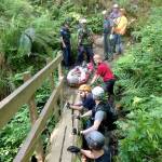 More than 20 volunteers assisted search-and-rescue and fire personnel in transporting an injured hiker via litter from the Lime Kiln Trail to a logging road.