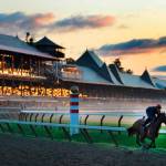 Horse racing has a storied history, one chronicled in both fiction and non-fiction in several gripping books. (Everett Public Library image)