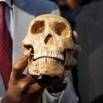 A replica skull of a species belonging to the human family tree whose remnants were first found in a South African cave in 2013 is held at the unveiling at the Maropeng Museum, near Magaliesburg, South Africa, on Tuesday. (AP Photo/Denis Farrell)