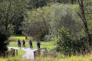 Cyclists ride down the Centennial Trail in fall 2015, near the Nakashima Barn north of Arlington. This Friday marks Bike Everywhere Day, with &ldquo;celebration stations&rdquo; across the county, including along the Centennial Trail. (Herald file photo / Genna Martin)