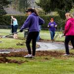 Volunteers from the Port Gardner Rotary Club rake and shovel dirt while helping build a new wheelchair accessible trail through Legion Memorial Park in Everett on Saturday, April 29. (Ian Terry / The Herald)