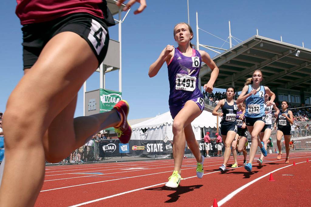 Lake Stevens&rsquo; Taylor Roe trails in the 800 meters during 4A state track championship Friday afternoon at Mt. Tahoma High School on May 27, 2017. Roe took first. (Kevin Clark / The Herald)
