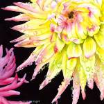 &ldquo;Dahlias&rdquo; by Nicki Wight will be displayed during the Camano Island Studio Tour May 12-14 and May 20-21 on the island.
