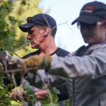John Schmidt, left, and Dawn Schmidt work to clear black berry bushes at the Mill Creek YMCA Saturday morning during the 3rd annual Day of Hope on May 20, 2017. Sponsored by Gold Creek Community Church, the two-day event drew nearly 1300 volunteers. (Kevin Clark / The Herald)