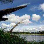 Shadow Lake at Bob Heirman Wildlife Preserve appears peaceful and without visitors Tuesday afternoon, save a for couple of Canada geese far and away near the distant shore. (Dan Bates / The Herald)