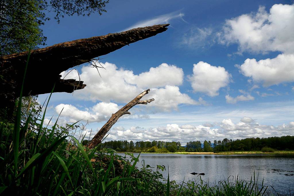 Shadow Lake at Bob Heirman Wildlife Preserve appears peaceful and without visitors Tuesday afternoon, save a for couple of Canada geese far and away near the distant shore. (Dan Bates / The Herald)