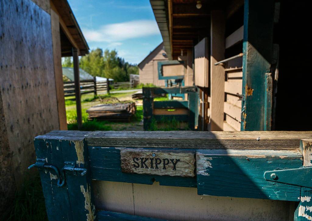 Old stables sheltered many a horse over the past 30-odd years. (Dan Bates / The Herald)