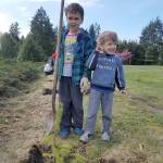 Brothers Jasper (left) and Joe Hollenbach place a tree for planting at Alderwood Early Childhood Center. (Contributed photo)
