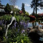 Marge Curtis will continue to live in her home and enjoy her landscaped pond as her former property, Carousel Ranch, becomes a 65-acre Snohomish County park in the Maltby area. (Dan Bates / The Herald)