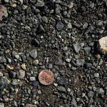 Loose pennies are strewn about the parking lot of Kaman Auctions in Edmonds. Many used cars come with coins hidden away in various compartments. (Ian Terry / The Herald)