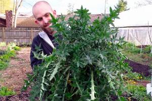 Olivia Park Elementary honors volunteers, gets garden grant