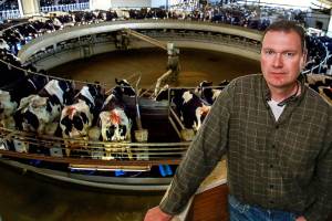 With his rotary parlor, dairy farmer Jeremy Visser is able to milk 60 cows at once in rotation. With 2,000-plus cows, he is producing about 20,000 gallons of milk each day. (Dan Bates / The Herald)