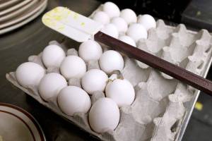 Report lists milk and poultry as top food-poisoning risks