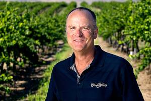 Northwest bargain whites offer refreshment on warmer days