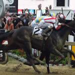 13-1 shot Cloud Computing wins Preakness