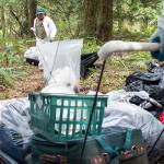Bellingham Parks and Recreation employees drag items from a homeless man&rsquo;s camp on sleds at Whatcom Falls Park in Bellingham on April 18. As the city continues to clean up homeless camps in parks and under bridges, Mayor Kelli Linville said a proposed shelter would offer one solution to a growing problem. The city has a backlog of more than 70 camps. Since 2014, the city has removed 427 camps at nearly 300 places around Bellingham. Most of them were in the city&rsquo;s parks and creek corridors. (Evan Abell /The Bellingham Herald via AP)